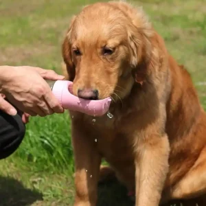 2-in-1 Dog Water Bottle & Food Container - Thumbnail Image 3